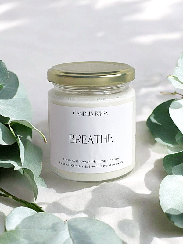vela de eucalipto , velas de lujo , velas de cera de soja y coco , vela aromática premium en tarro vidrio con tapa candela rosa velas de lujo velas aromáticas lujosas luxury artisan candle soy wax velas veganas velas perfumadas tienda de velas vela que huele bien españa